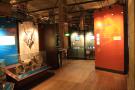 gal/Londres/Natural_History_Museum/Dinosaurs/_thb_London_Natural_History_Museum149.jpg