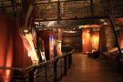 gal/Londres/Natural_History_Museum/Dinosaurs/_thb_London_Natural_History_Museum152.jpg