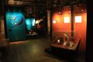 gal/Londres/Natural_History_Museum/Dinosaurs/_thb_London_Natural_History_Museum154.jpg