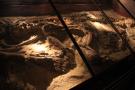 gal/Londres/Natural_History_Museum/Dinosaurs/_thb_London_Natural_History_Museum158.jpg