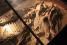 gal/Londres/Natural_History_Museum/Dinosaurs/_thb_London_Natural_History_Museum159.jpg
