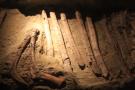 gal/Londres/Natural_History_Museum/Dinosaurs/_thb_London_Natural_History_Museum160.jpg
