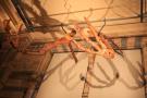 gal/Londres/Natural_History_Museum/Dinosaurs/_thb_London_Natural_History_Museum164.jpg