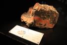 gal/Londres/Natural_History_Museum/Earth/_thb_London_Natural_History_Museum321.jpg