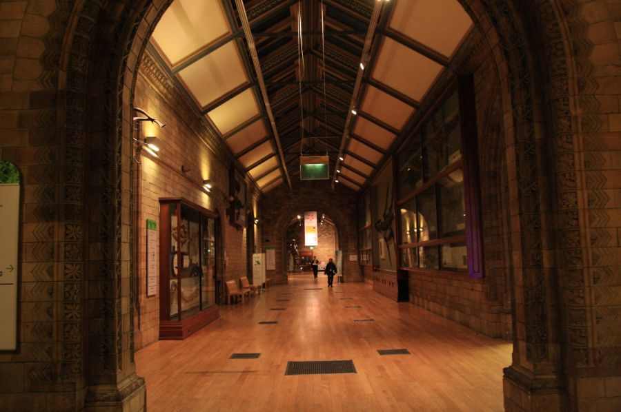 gal/Londres/Natural_History_Museum/Green_Zone/London_Natural_History_Museum280.jpg