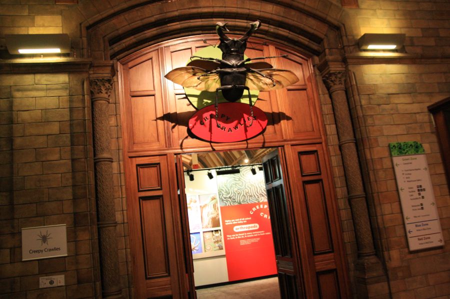 gal/Londres/Natural_History_Museum/Green_Zone/London_Natural_History_Museum281.jpg