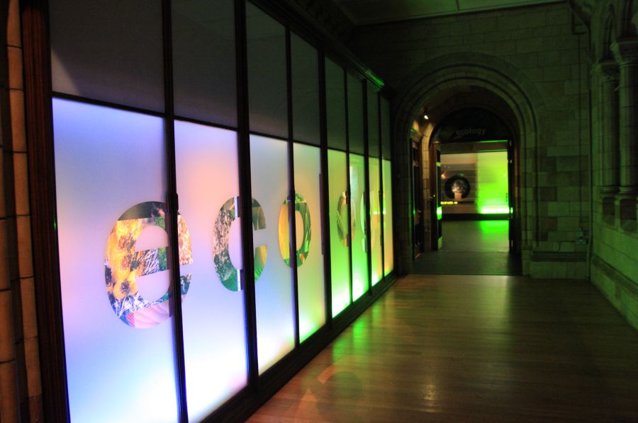 gal/Londres/Natural_History_Museum/Green_Zone/London_Natural_History_Museum286.jpg