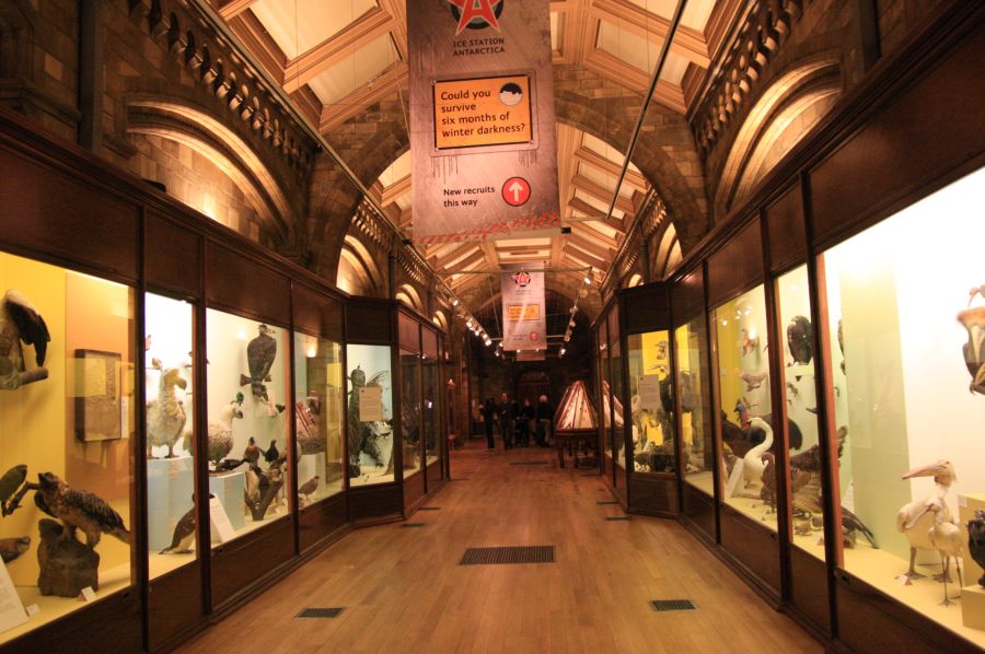 gal/Londres/Natural_History_Museum/Green_Zone/London_Natural_History_Museum290.jpg