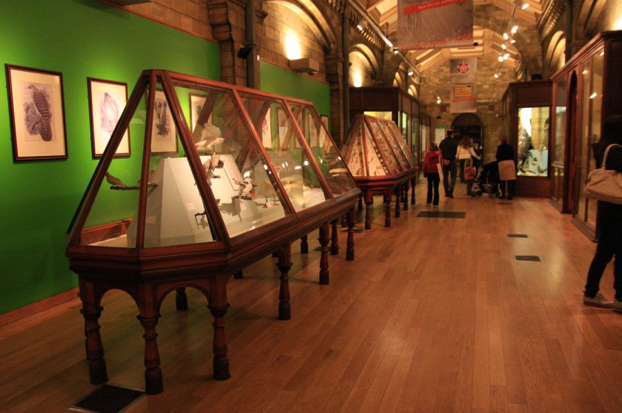 gal/Londres/Natural_History_Museum/Green_Zone/London_Natural_History_Museum291.jpg