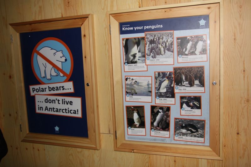 gal/Londres/Natural_History_Museum/Ice_Station_Antarctica/Antartica_NHM_13.jpg
