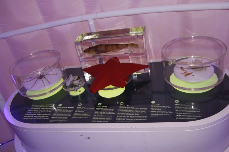 gal/Londres/Natural_History_Museum/Ice_Station_Antarctica/Antartica_NHM_41.jpg