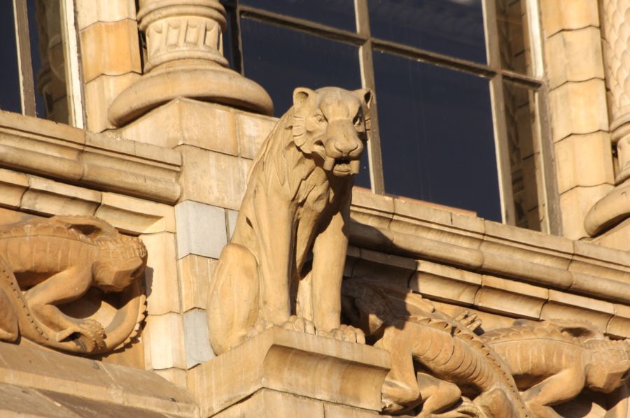 gal/Londres/Natural_History_Museum/London_Natural_History_Museum011.jpg