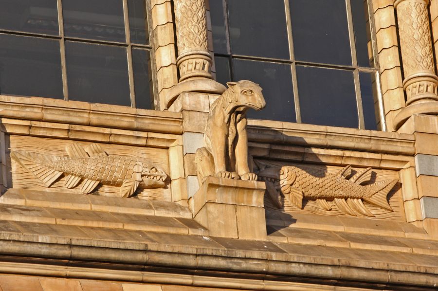 gal/Londres/Natural_History_Museum/London_Natural_History_Museum017.jpg