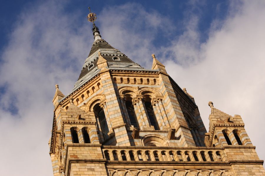 gal/Londres/Natural_History_Museum/London_Natural_History_Museum024.jpg