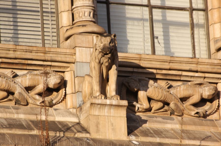 gal/Londres/Natural_History_Museum/London_Natural_History_Museum025.jpg