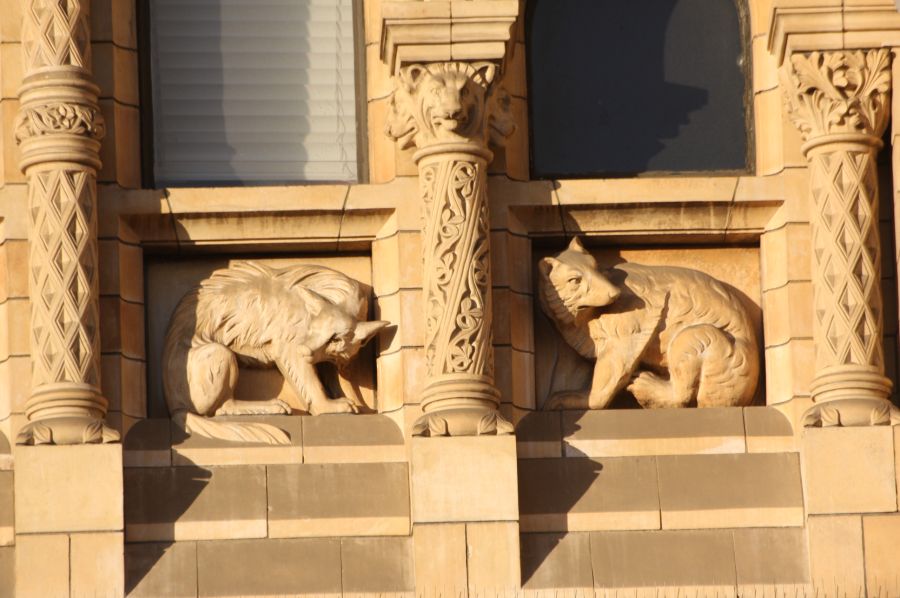 gal/Londres/Natural_History_Museum/London_Natural_History_Museum027.jpg