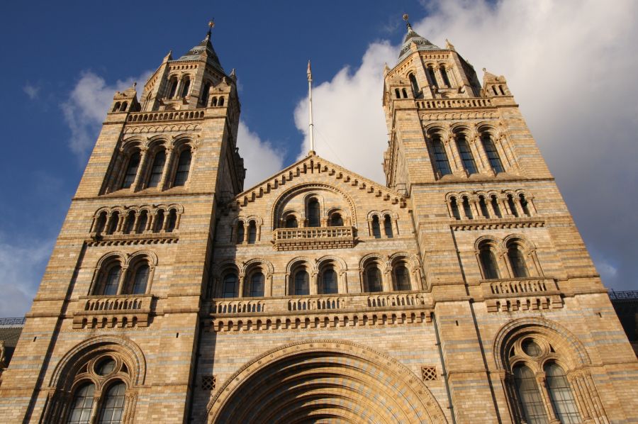 gal/Londres/Natural_History_Museum/London_Natural_History_Museum028.jpg