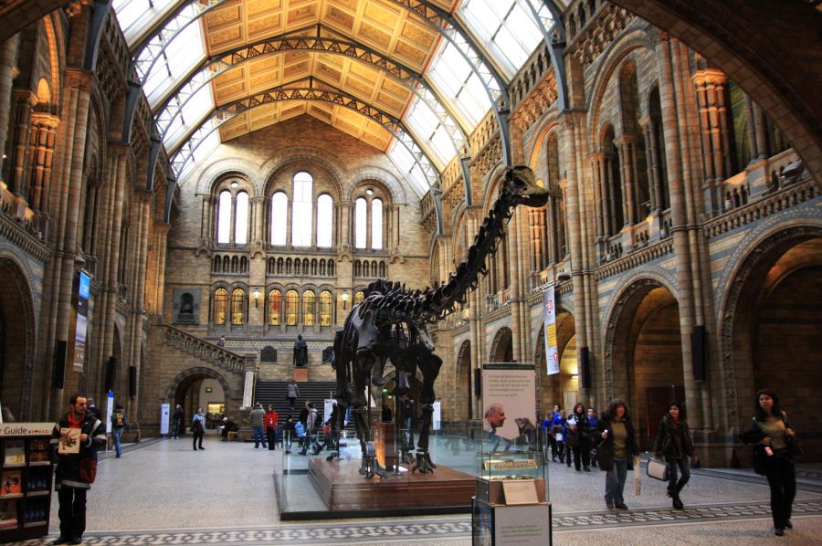 gal/Londres/Natural_History_Museum/London_Natural_History_Museum032.jpg