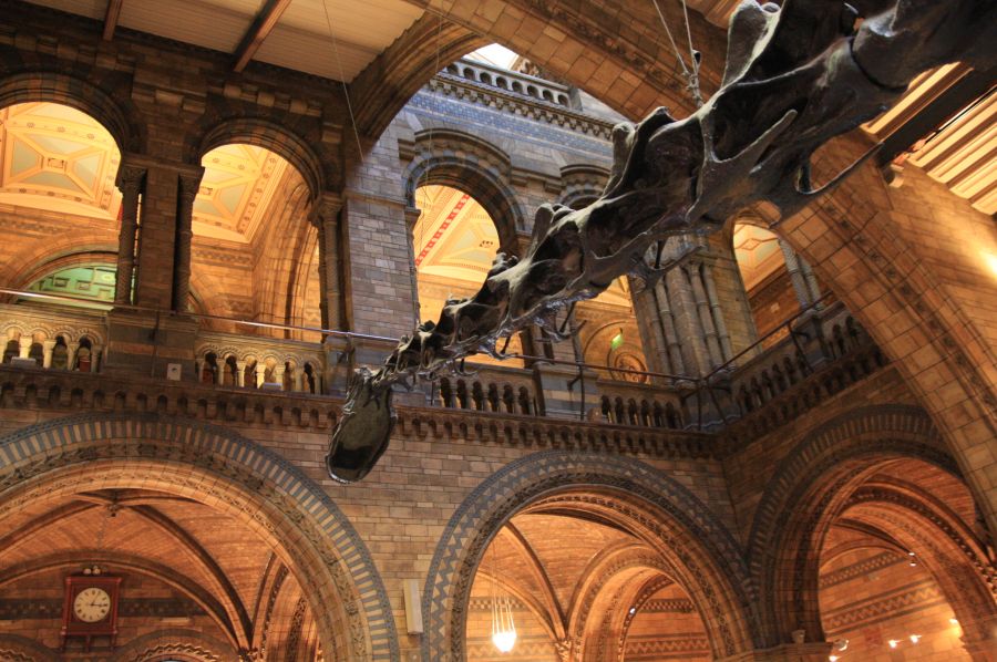 gal/Londres/Natural_History_Museum/London_Natural_History_Museum034.jpg