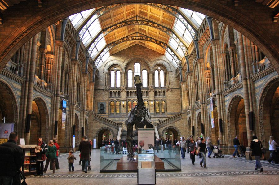 gal/Londres/Natural_History_Museum/London_Natural_History_Museum037.jpg
