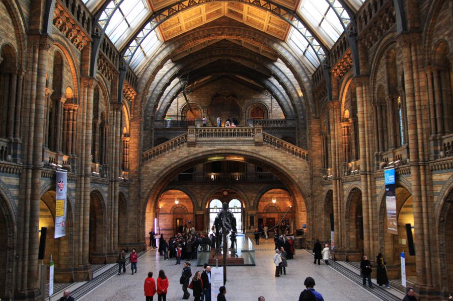 gal/Londres/Natural_History_Museum/London_Natural_History_Museum060.jpg