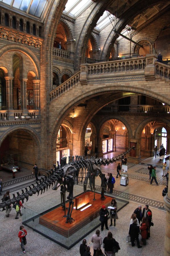 gal/Londres/Natural_History_Museum/London_Natural_History_Museum065.jpg