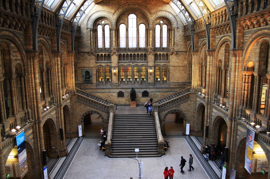gal/Londres/Natural_History_Museum/London_Natural_History_Museum067.jpg