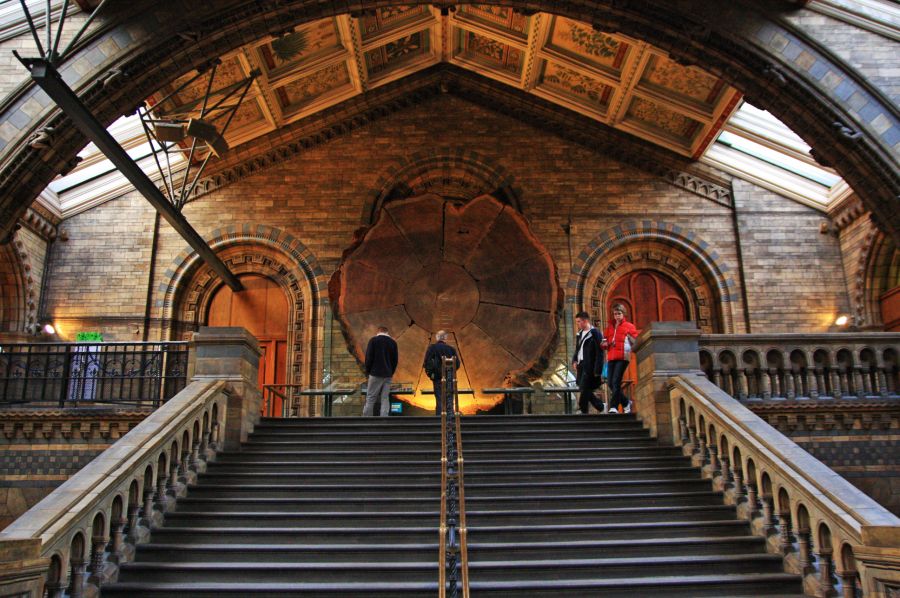 gal/Londres/Natural_History_Museum/London_Natural_History_Museum069.jpg
