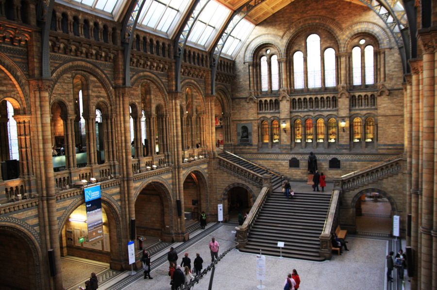 gal/Londres/Natural_History_Museum/London_Natural_History_Museum071.jpg