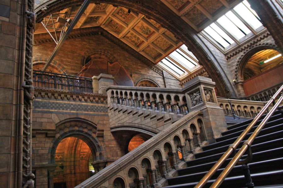 gal/Londres/Natural_History_Museum/London_Natural_History_Museum072.jpg