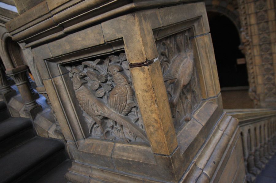 gal/Londres/Natural_History_Museum/London_Natural_History_Museum073.jpg