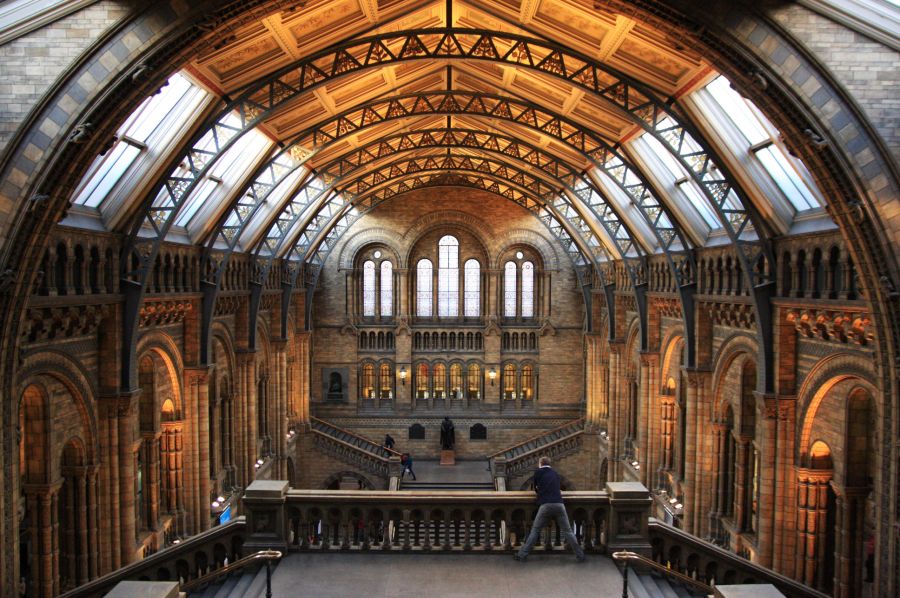 gal/Londres/Natural_History_Museum/London_Natural_History_Museum074.jpg