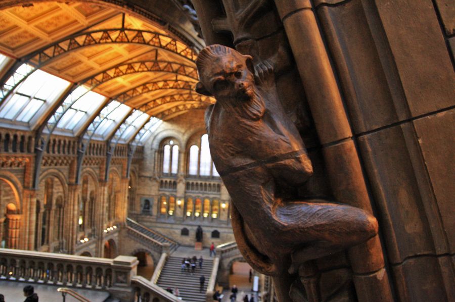 gal/Londres/Natural_History_Museum/London_Natural_History_Museum076.jpg
