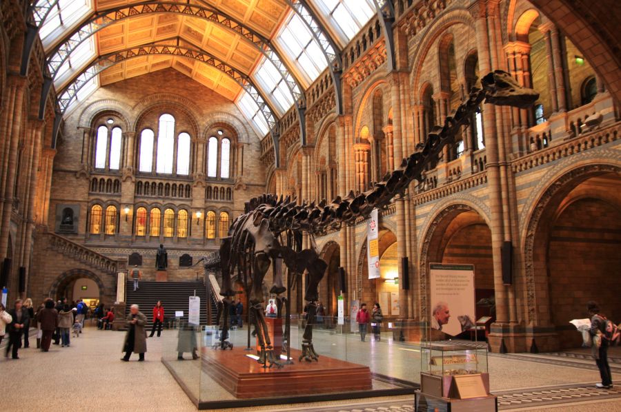 gal/Londres/Natural_History_Museum/London_Natural_History_Museum088.jpg
