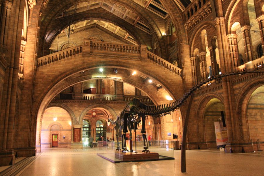 gal/Londres/Natural_History_Museum/London_Natural_History_Museum279.jpg