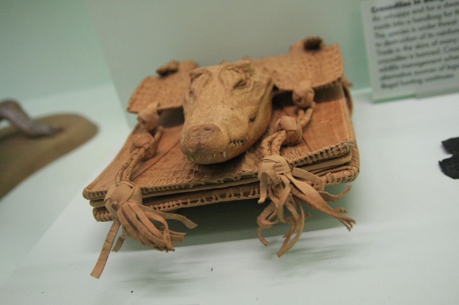 gal/Londres/Natural_History_Museum/Mammiferes/London_Natural_History_Museum256.jpg