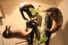 gal/Londres/Natural_History_Museum/Mammiferes/_thb_London_Natural_History_Museum176.jpg