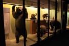 gal/Londres/Natural_History_Museum/Mammiferes/_thb_London_Natural_History_Museum190.jpg