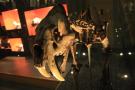 gal/Londres/Natural_History_Museum/Mammiferes/_thb_London_Natural_History_Museum196.jpg