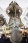 gal/Londres/Natural_History_Museum/Mammiferes/_thb_London_Natural_History_Museum243.jpg