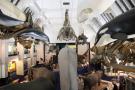 gal/Londres/Natural_History_Museum/Mammiferes/_thb_London_Natural_History_Museum248.jpg