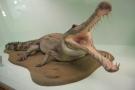 gal/Londres/Natural_History_Museum/Mammiferes/_thb_London_Natural_History_Museum257.jpg