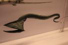 gal/Londres/Natural_History_Museum/Mammiferes/_thb_London_Natural_History_Museum260.jpg