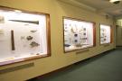 gal/Londres/Natural_History_Museum/Mammiferes/_thb_London_Natural_History_Museum262.jpg