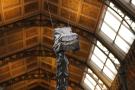 gal/Londres/Natural_History_Museum/_thb_London_Natural_History_Museum035.jpg