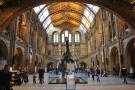 gal/Londres/Natural_History_Museum/_thb_London_Natural_History_Museum037.jpg