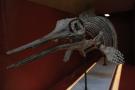 gal/Londres/Natural_History_Museum/_thb_London_Natural_History_Museum046.jpg
