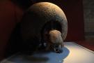 gal/Londres/Natural_History_Museum/_thb_London_Natural_History_Museum054.jpg