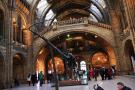 gal/Londres/Natural_History_Museum/_thb_London_Natural_History_Museum056.jpg