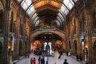 gal/Londres/Natural_History_Museum/_thb_London_Natural_History_Museum060.jpg